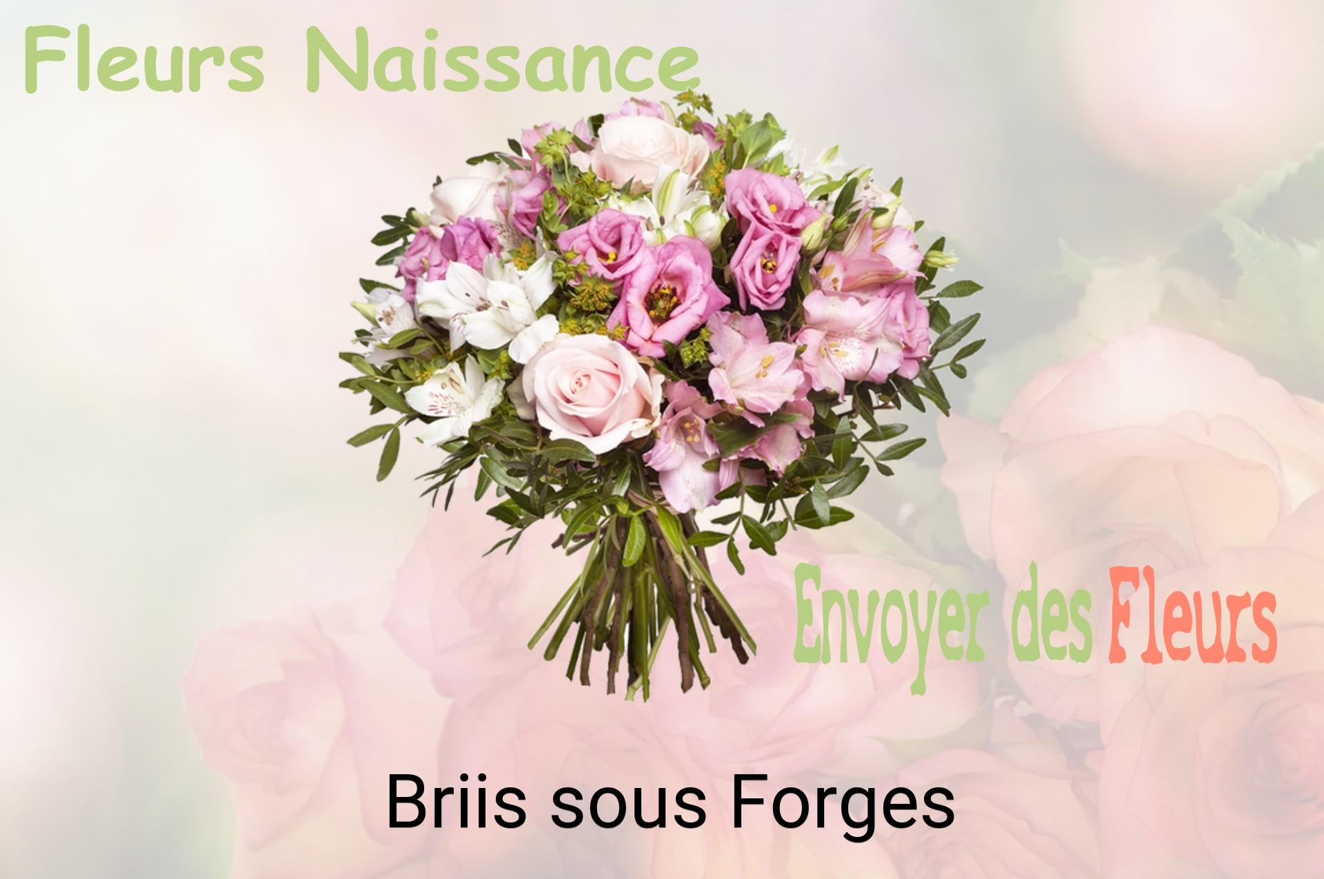 Bouquet de fleurs de naissance livré à Briis-sous-Forges