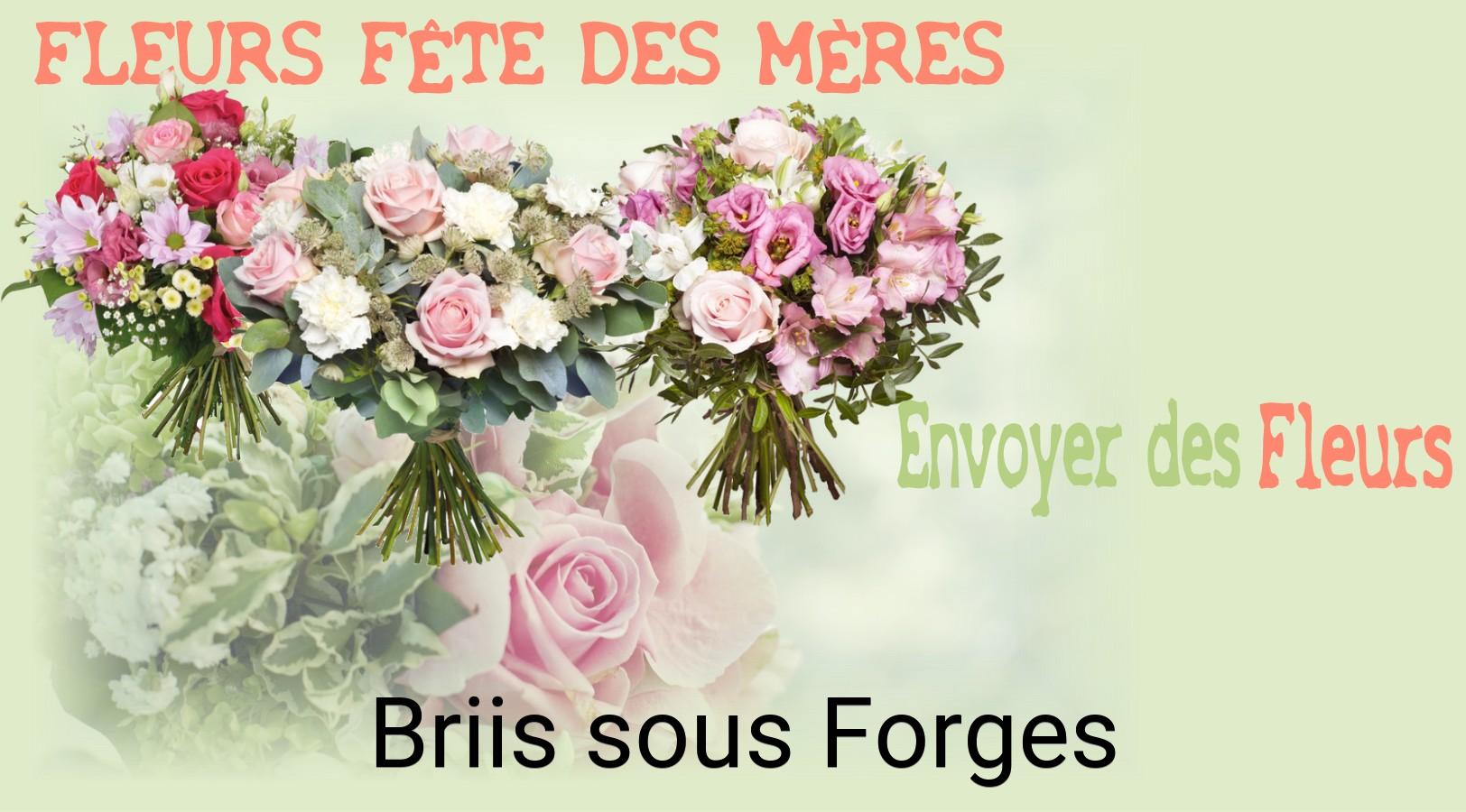 Bouquet de Fête des Mères livré à Briis-sous-Forges