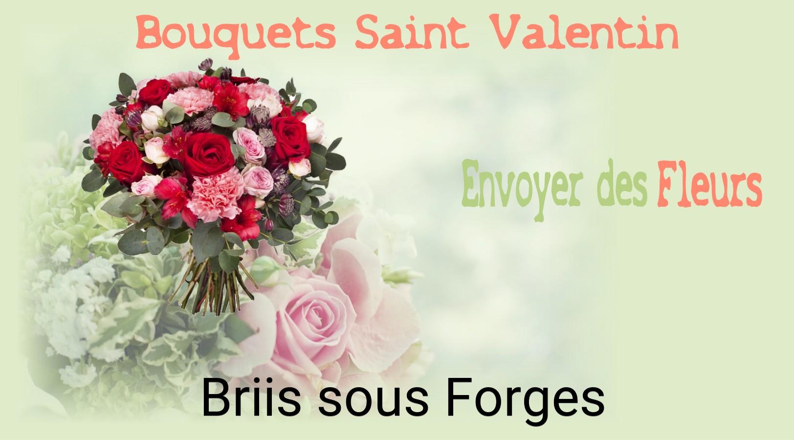 Roses de Saint-Valentin livrées à Briis-sous-Forges